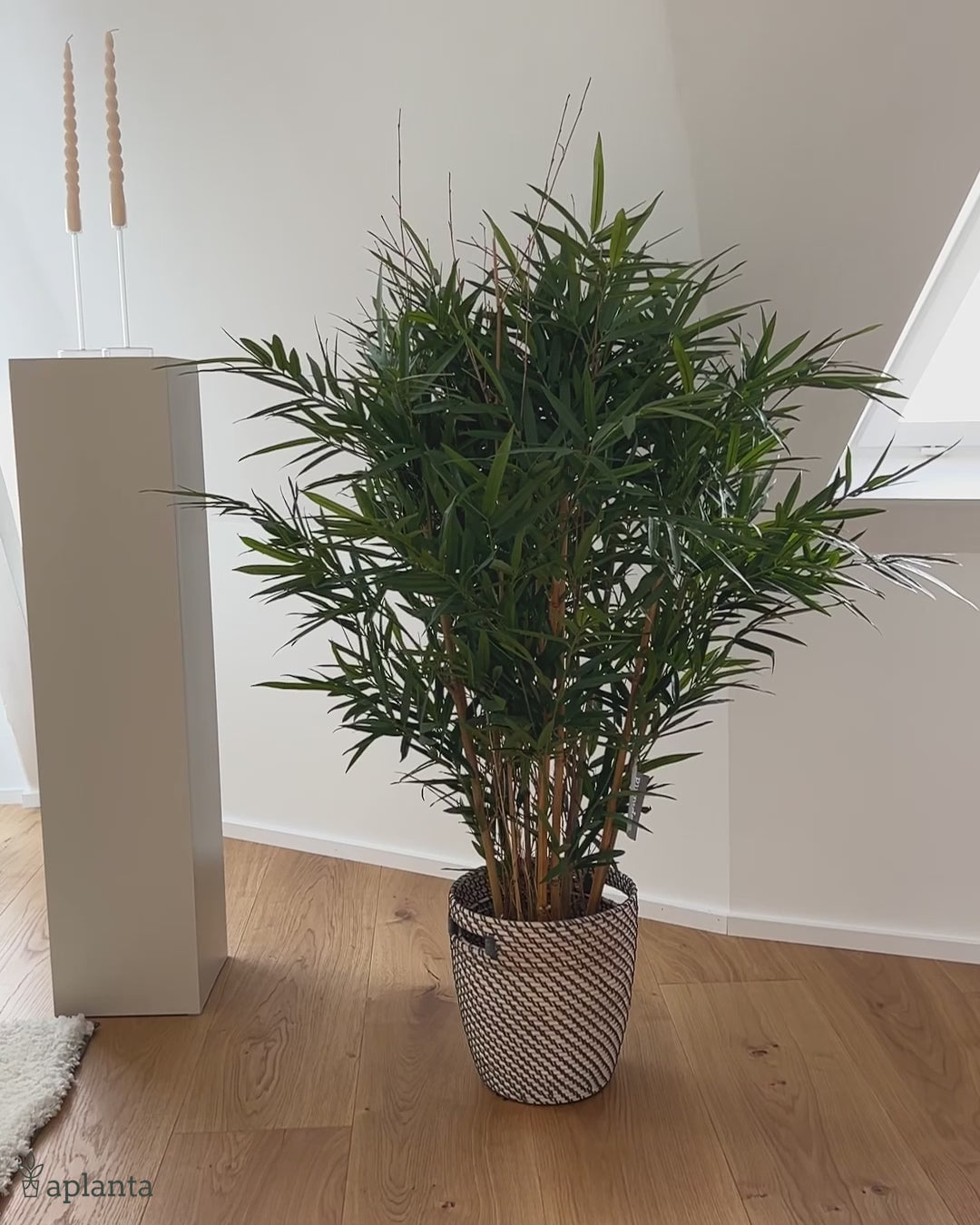 Künstlicher Bambus deluxe - Marleen | 125 cm