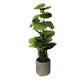 Künstliche Philodendron - Phoebe | 80 cm
