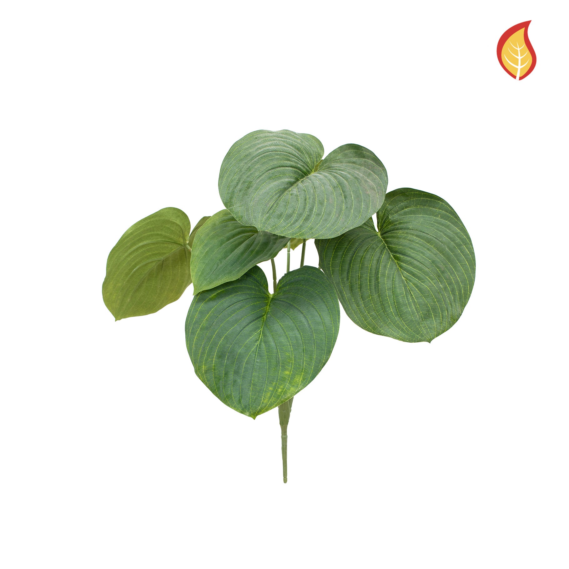 Künstliche Herzblattlilie - Pilar | 65 cm