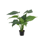 Künstliche Alocasia - Ebba, 40 cm, Kunstpflanze von aplanta, feuerhemmend, in Grün, für drinnen