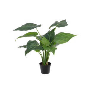 Künstliche Alocasia - Ebba | 40 cm