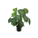 Künstliche Syngonium - Laika, 58 cm, Kunstpflanze von aplanta, feuerhemmend, in Grün, für drinnen