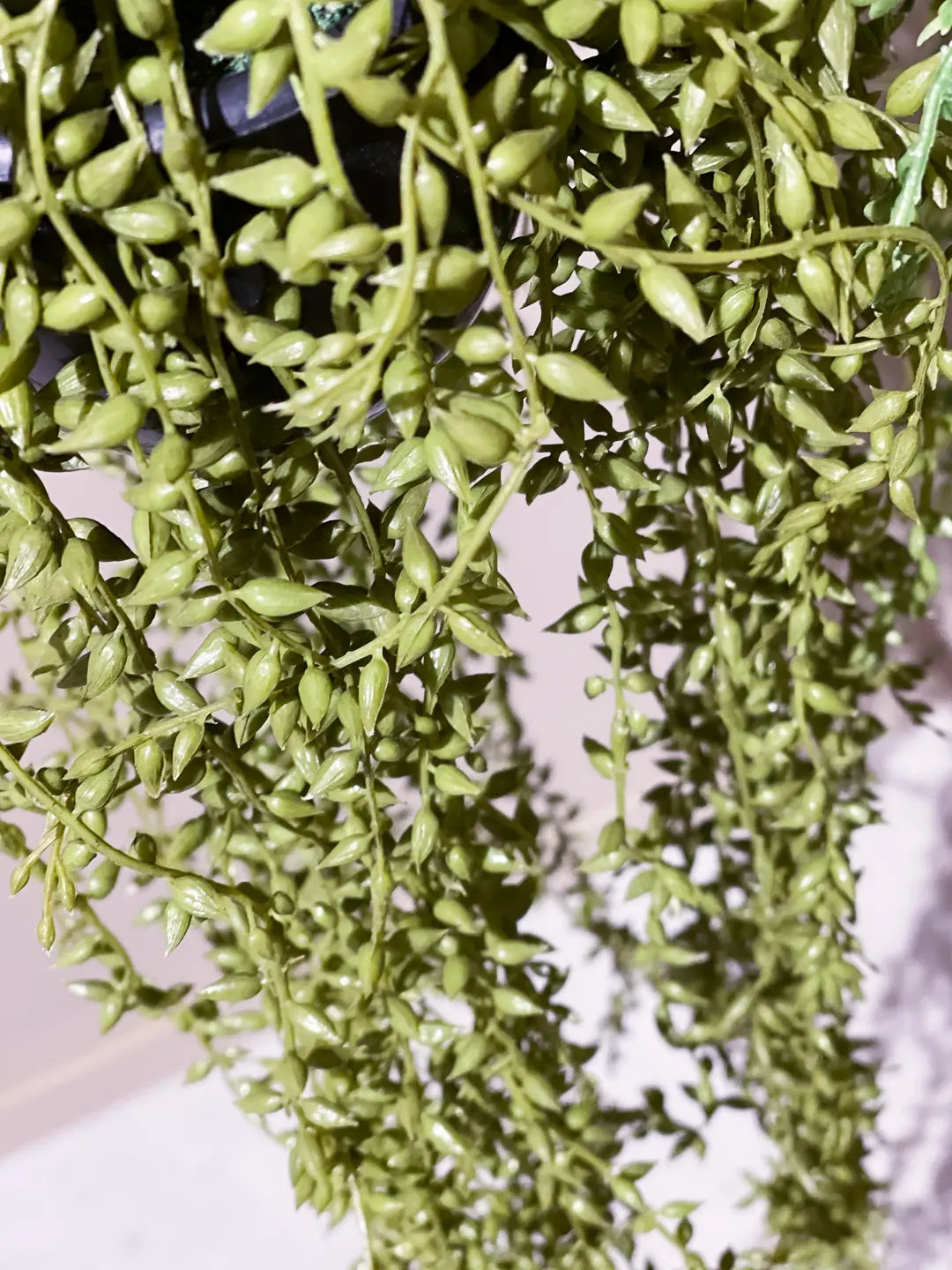 Künstliche Erbsenpflanze - Karina | 70 cm | Kunstpflanze von aplanta