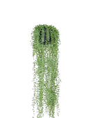 Künstliches Greiskraut - Karina auf transparentem Hintergrund mit echt wirkenden Kunstblättern. Diese Kunstpflanze gehört zur Gattung/Familie der 