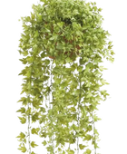 Künstliche Hänge-Efeu - Kathrin | 50 cm auf transparentem Hintergrund, als Ausschnitt fotografiert, damit die Details der Kunstpflanze bzw. des Kunstbaums noch deutlicher zu erkennen sind.