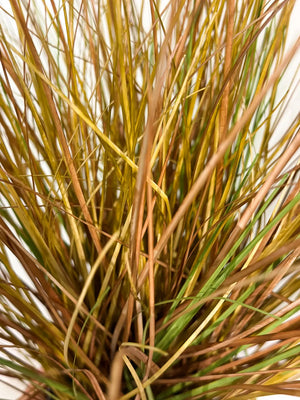 Künstliches Gras - Mia | 65 cm | Kunstpflanze von aplanta