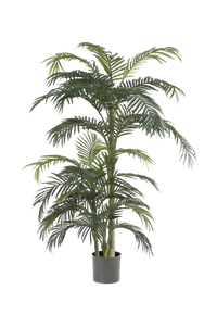 Hochwertige Kunstpalme auf transparentem Hintergrund mit echt wirkenden Kunstblättern in natürlicher Anordnung. Künstliche Areca Palme - Bobby hat die Farbe Natur und ist 130 cm hoch. | aplanta Kunstpflanzen
