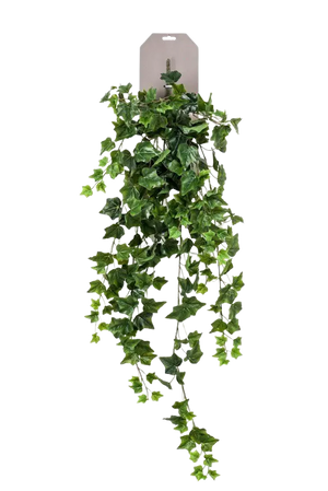 Hochwertige künstliche Hängepflanze auf transparentem Hintergrund mit echt wirkenden Kunstblättern in natürlicher Anordnung. Künstlicher Hänge-Efeu - Denise hat die Farbe Natur und ist 100 cm hoch. | aplanta Kunstpflanzen