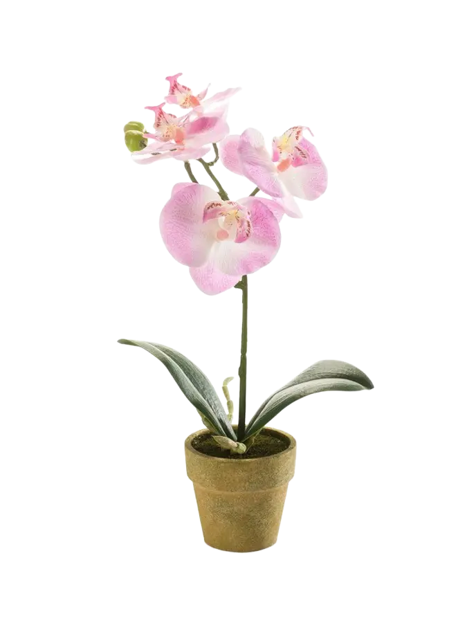 Künstliche Orchidee - Lynn auf transparentem Hintergrund mit echt wirkenden Kunstblättern. Diese Kunstpflanze gehört zur Gattung/Familie der "Orchideen" bzw. "Kunst-Orchideen".