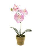 Künstliche Orchidee - Lynn auf transparentem Hintergrund mit echt wirkenden Kunstblättern. Diese Kunstpflanze gehört zur Gattung/Familie der 
