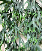 Künstlicher Hänge-Geweihfarn - Elli | 80 cm | Kunstpflanze von aplanta