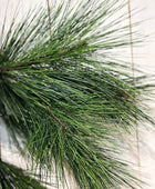 Künstlicher Pinien-Zweig - Friedrich | 70 cm | Kunstpflanze von aplanta