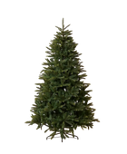 Künstlicher Weihnachtsbaum - Mary auf transparentem Hintergrund mit echt wirkenden Kunstblättern in natürlicher Anordnung. Künstlicher Weihnachtsbaum - Mary hat die Farbe Natur und ist 210 cm hoch. | aplanta Kunstpflanzen