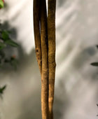 Künstlicher Kamelienbaum - Pina | 130 cm | Kunstbaum von aplanta