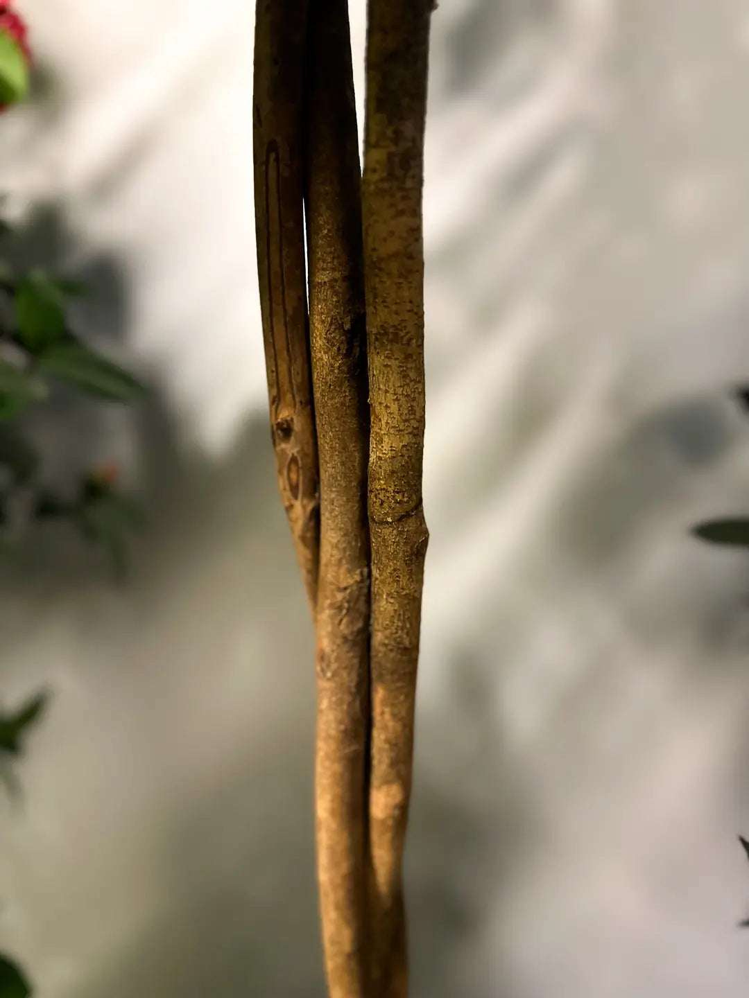 Künstlicher Kamelienbaum - Pelin | 130 cm | Kunstbaum von aplanta