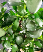 Künstlicher Geldbaum - Poyraz | 60 cm | Kunstpflanze von aplanta