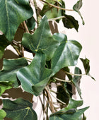 Künstlicher Hänge-Efeu - Lennart | 120 cm | Kunstpflanze von aplanta