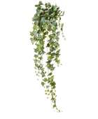 Künstlicher Hänge-Efeu - Lennart auf transparentem Hintergrund mit echt wirkenden Kunstblättern. Diese Kunstpflanze gehört zur Gattung/Familie der 