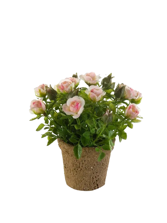 Künstliche Rose - Lucy auf transparentem Hintergrund mit echt wirkenden Kunstblättern. Diese Kunstpflanze gehört zur Gattung/Familie der "Rosen" bzw. "Kunst-Rosen".