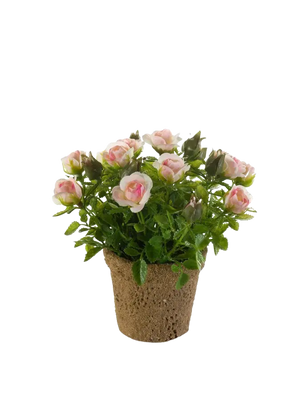 Künstliche Rose - Lucy auf transparentem Hintergrund mit echt wirkenden Kunstblättern. Diese Kunstpflanze gehört zur Gattung/Familie der "Rosen" bzw. "Kunst-Rosen".