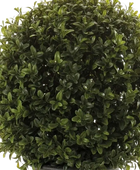Künstlicher Buchsbaum - Lynn | 42 cm auf transparentem Hintergrund, als Ausschnitt fotografiert, damit die Details der Kunstpflanze bzw. des Kunstbaums noch deutlicher zu erkennen sind.