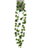 Künstliche Efeu Girlande - Joline auf transparentem Hintergrund mit echt wirkenden Kunstblättern. Diese Kunstpflanze gehört zur Gattung/Familie der 