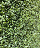 Künstliche Buchsbaum Matte - Nick | 50x50 cm | Kunstpflanze von aplanta