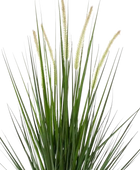 Künstlicher Fuchsschwanz - Hennes | 90 cm auf transparentem Hintergrund, als Ausschnitt fotografiert, damit die Details der Kunstpflanze bzw. des Kunstbaums noch deutlicher zu erkennen sind.