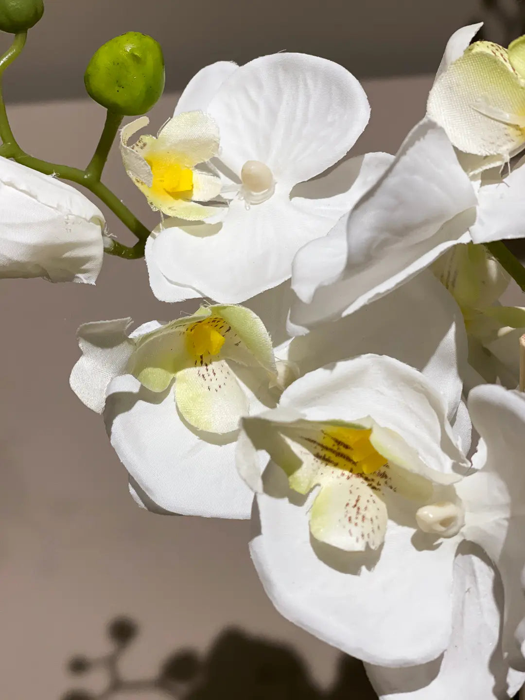 Künstliche Orchidee - Nika | 56 cm | Kunstblume von aplanta