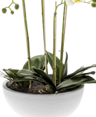 Künstliche Orchidee - Linus | 60 cm auf transparentem Hintergrund, als Ausschnitt fotografiert, damit die Details der Kunstpflanze bzw. des Kunstbaums noch deutlicher zu erkennen sind.