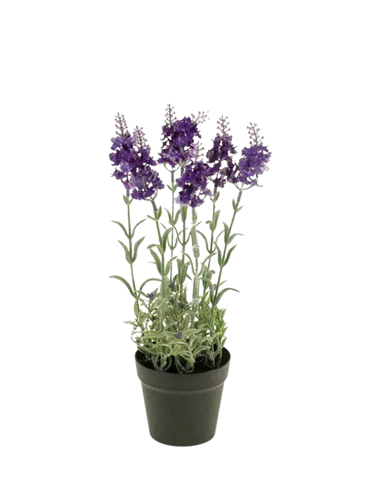 Künstlicher Lavendel - Lea auf transparentem Hintergrund mit echt wirkenden Kunstblättern. Diese Kunstpflanze gehört zur Gattung/Familie der "Lavendel" bzw. "Kunst-Lavendel".