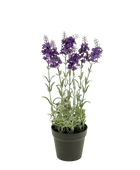 Künstlicher Lavendel - Lea auf transparentem Hintergrund mit echt wirkenden Kunstblättern. Diese Kunstpflanze gehört zur Gattung/Familie der 