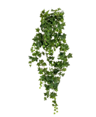 Künstlicher Hänge-Efeu - Lennart auf transparentem Hintergrund mit echt wirkenden Kunstblättern. Diese Kunstpflanze gehört zur Gattung/Familie der 