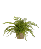 Künstlicher Waldfarn - Korbinian auf transparentem Hintergrund mit echt wirkenden Kunstblättern. Diese Kunstpflanze gehört zur Gattung/Familie der 