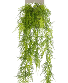 Künstlicher Hänge-Feder-Spargel - Luke auf transparentem Hintergrund mit echt wirkenden Kunstblättern. Diese Kunstpflanze gehört zur Gattung/Familie der 