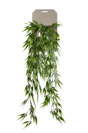 Künstlicher Hänge-Bambus - Natalie auf transparentem Hintergrund mit echt wirkenden Kunstblättern. Diese Kunstpflanze gehört zur Gattung/Familie der "Bambuse" bzw. "Kunst-Bambuse".