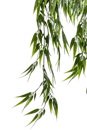 Künstlicher Hänge-Bambus - Natalie | 75 cm auf transparentem Hintergrund, als Ausschnitt fotografiert, damit die Details der Kunstpflanze bzw. des Kunstbaums noch deutlicher zu erkennen sind.