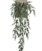 Künstlicher Hänge-Eucalypthus - Richard auf transparentem Hintergrund mit echt wirkenden Kunstblättern. Diese Kunstpflanze gehört zur Gattung/Familie der 