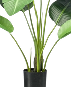 Künstliche Strelitzia - Carl | 116 cm auf transparentem Hintergrund, als Ausschnitt fotografiert, damit die Details der Kunstpflanze bzw. des Kunstbaums noch deutlicher zu erkennen sind.