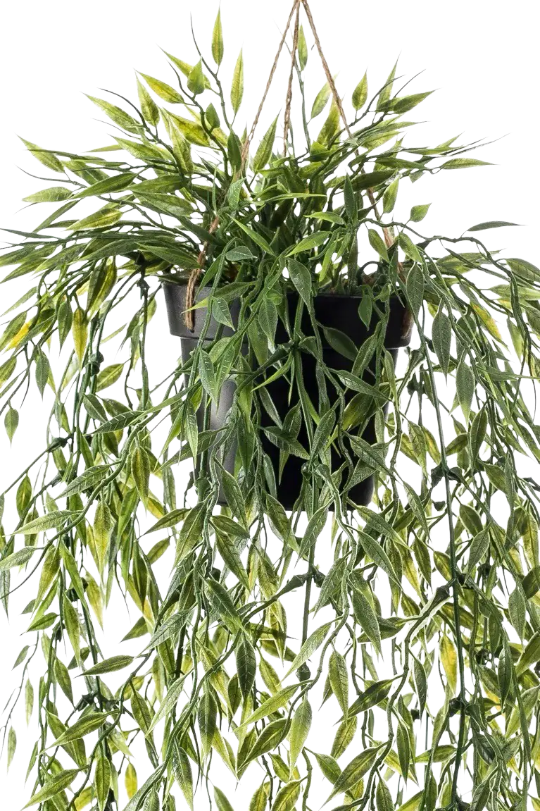 Künstlicher Hänge-Bambus - Kiana | 50 cm auf transparentem Hintergrund, als Ausschnitt fotografiert, damit die Details der Kunstpflanze bzw. des Kunstbaums noch deutlicher zu erkennen sind.