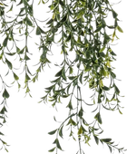 Künstlicher Hänge-Buchsbaum - Kevin | 50 cm auf transparentem Hintergrund, als Ausschnitt fotografiert, damit die Details der Kunstpflanze bzw. des Kunstbaums noch deutlicher zu erkennen sind.