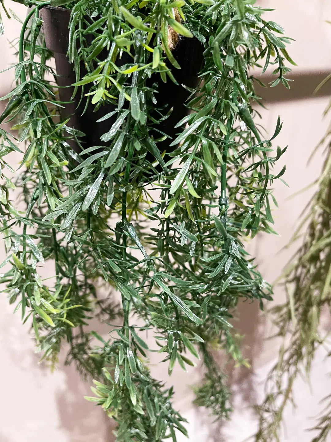 Künstlicher Hänge-Zierspargel - Kilian | 50 cm | Kunstpflanze von aplanta
