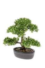 bonsai baum künstlich kaufen Künstlicher Ficus Bonsai - Yui | 32 cm
