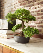 Künstlicher Ficus Bonsai - Yui | 32 cm