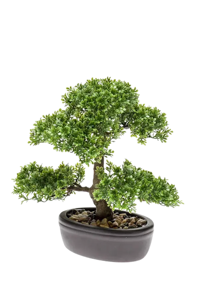 Künstlicher Ficus Bonsai - Yui | 32 cm