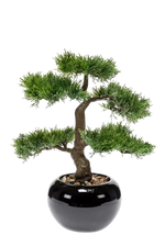 Künstlicher Zeder Bonsai - Miyu, 32 cm, Kunstpflanze von aplanta, inkl. Dekotopf, in Natur, für drinnen