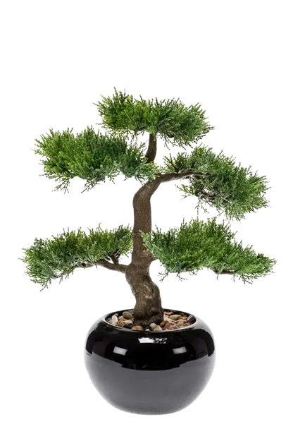 Künstlicher Zeder Bonsai - Miyu, 32 cm, Kunstpflanze von aplanta, inkl. Dekotopf, in Natur, für drinnen