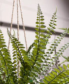 Künstlicher Hängefarn - Stefan | 95 cm | Kunstpflanze von aplanta