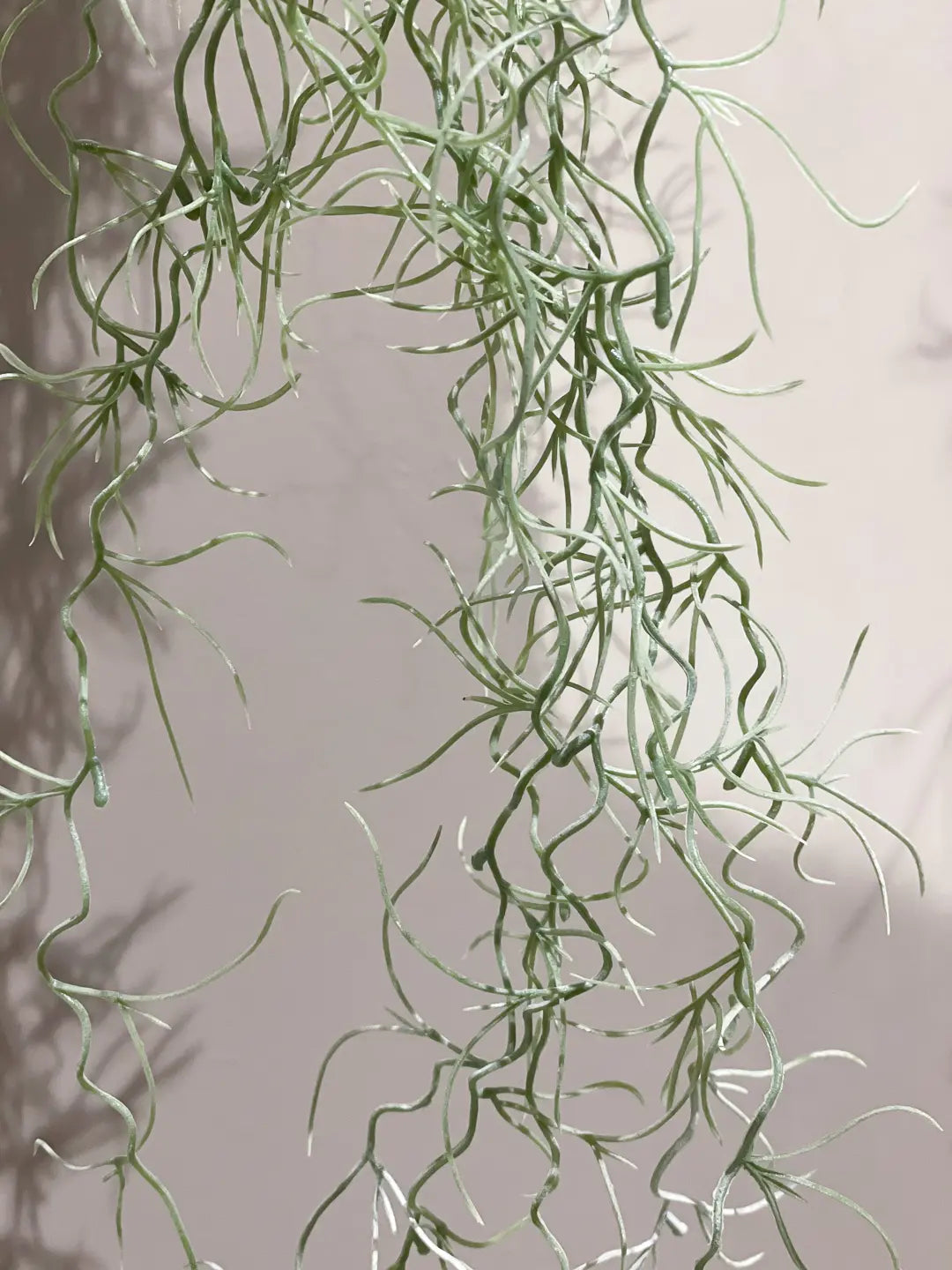 Tillandsia hair bush 85cm grey |  von aplanta