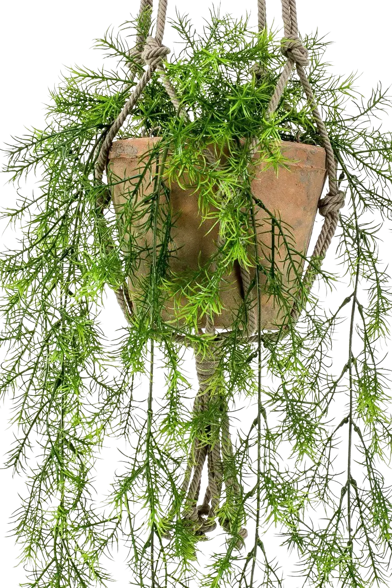 65 cm auf transparentem Hintergrund, als Ausschnitt fotografiert, damit die Details der Kunstpflanze bzw. des Kunstbaums noch deutlicher zu erkennen sind.
